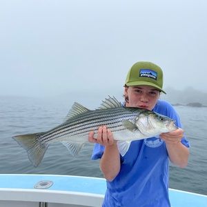 Meet your Posher, Pearl